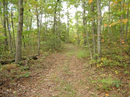 Clear Fork Acres Tract 58