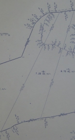 Hollow Ridge Trails Tract 8