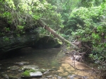 Clear Fork Acres Tract 22