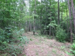 Clear Fork Acres Tract 56