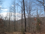 Beech Knob 43 Acre Tract