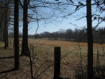 Grimsley Hills Tract 22