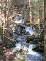White Water Paradise 33 Acres