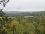Meadowview 127.5 Acres