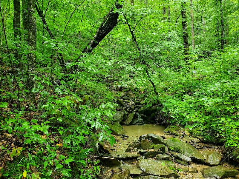 Paint Rock Creek 50+ Unrestricted Tracts in Scott County TN Front Page