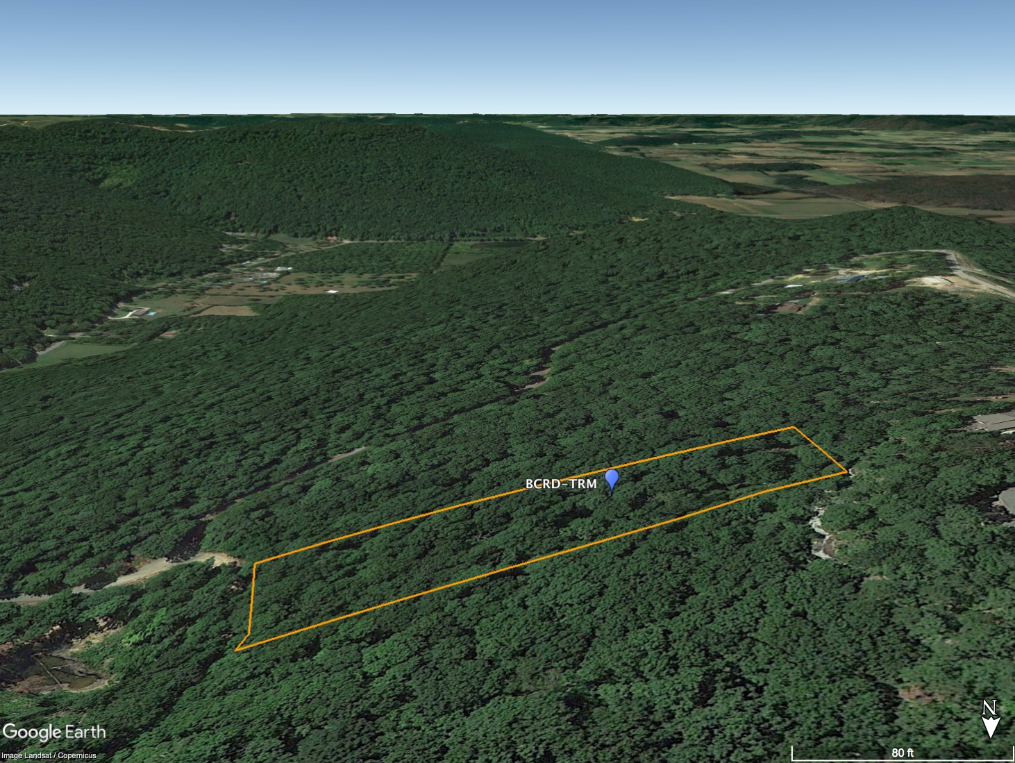 BCRD-TRM Angled View 3