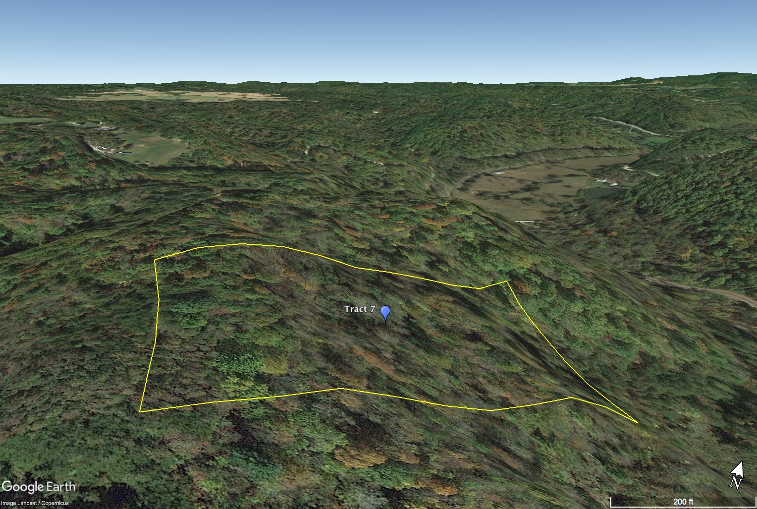 Paint Rock Creek Tract 8