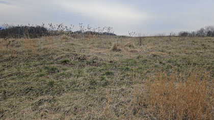 Oak Hill Farms Tract 22