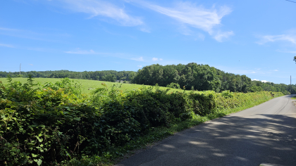 Lester Jarnigan Tract 1