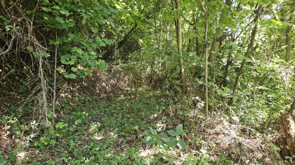 Lester Jarnigan Tract 3