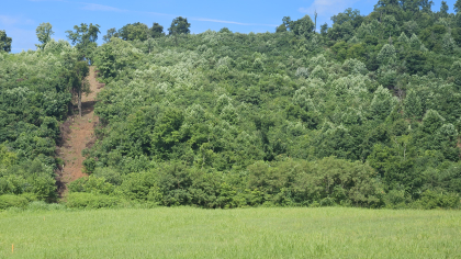 Lester Jarnigan Tract 6