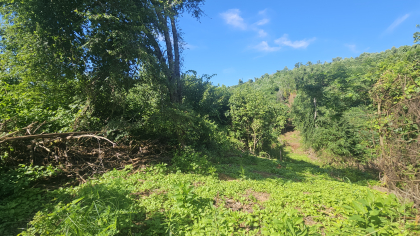 Lester Jarnigan Tract 7