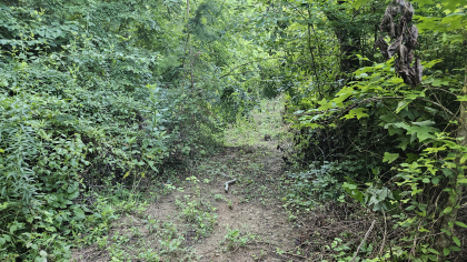 Lester Jarnigan Tract 9