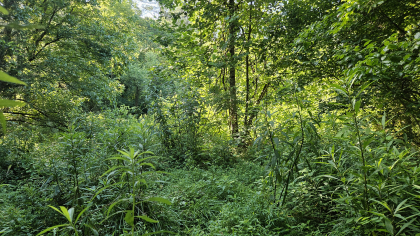 Lester Jarnigan Tract 10