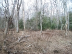 Four Creeks Tract 10