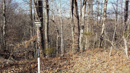Chestnut Way Tract 8