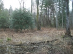 Four Creeks Tract 10