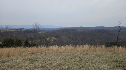 Oak Hill Farms Tract 23