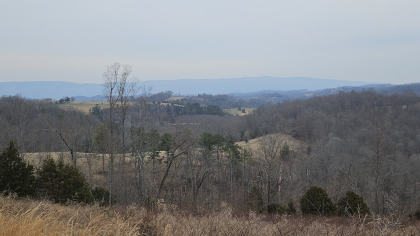 Oak Hill Farms Tract 24