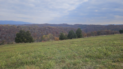 Oak Hill Farms Tract 25