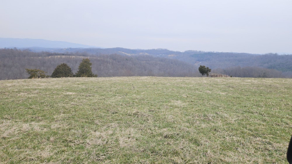 Oak Hill Farms Tract 26