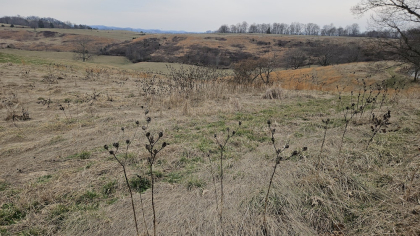 Oak Hill Farms Tract 22