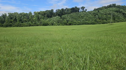 Lester Jarnigan Tract 3