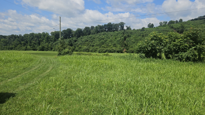 Lester Jarnigan Tract 4