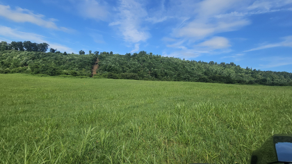 Lester Jarnigan Tract 6