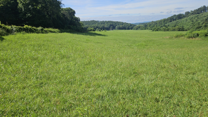 Lester Jarnigan Tract 7