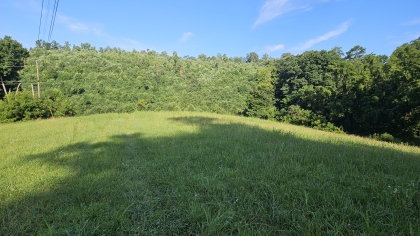 Lester Jarnigan Tract 8