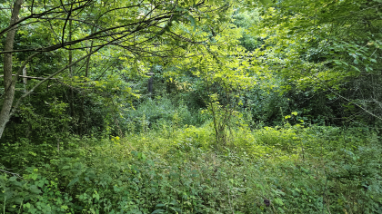Lester Jarnigan Tract 9