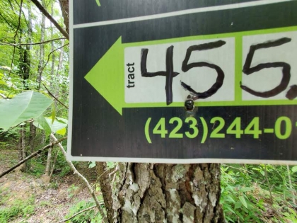 Paint Rock Creek Tract 45