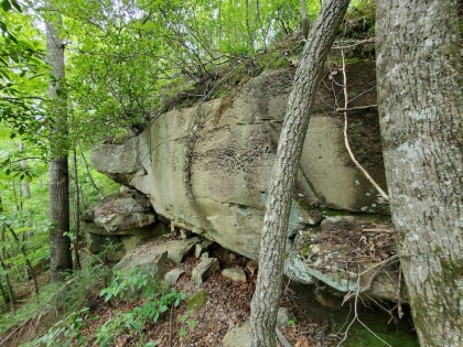 Paint Rock Creek Tract 45
