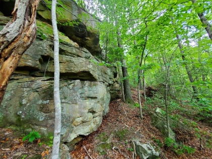 Paint Rock Creek Tract 45