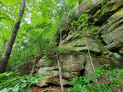 Paint Rock Creek Tract 45