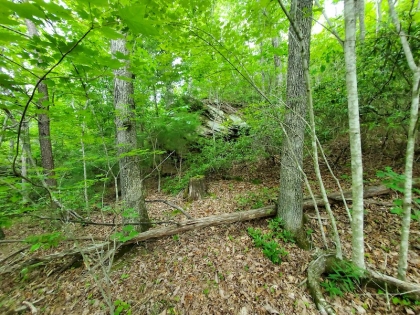 Paint Rock Creek Tract 45