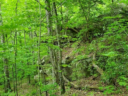 Paint Rock Creek Tract 45
