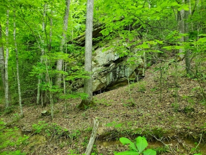 Paint Rock Creek Tract 45