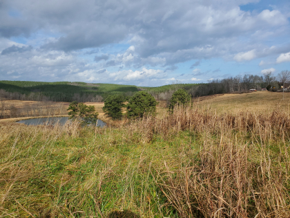 James Shannon Farms TR3