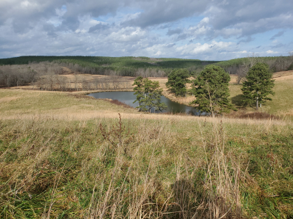 James Shannon Farms TR3