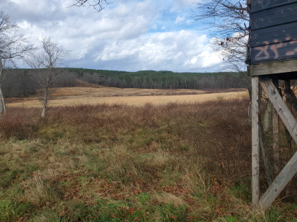 James Shannon Farms TR3