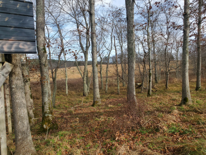 James Shannon Farms TR3