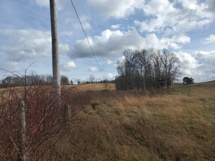 James Shannon Farms TR3