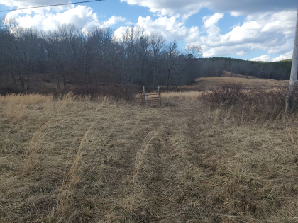 James Shannon Farms TR3