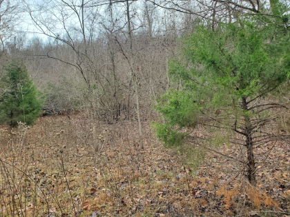 Graveley Valley Farms Tract 2