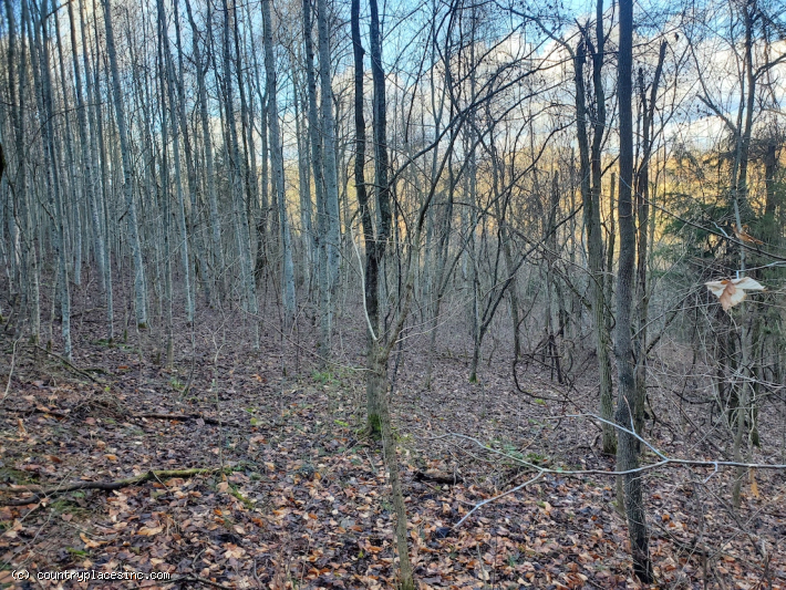 Graveley Valley Farms Tract 3