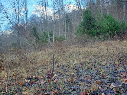Graveley Valley Farms Tract 6