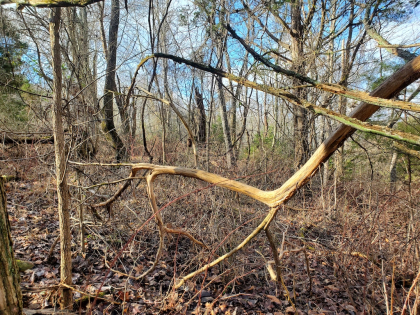 Graveley Valley Farms Tract 6