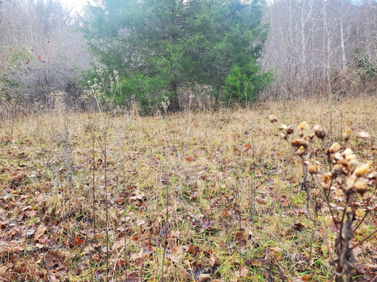 Graveley Valley Farms Tract 7